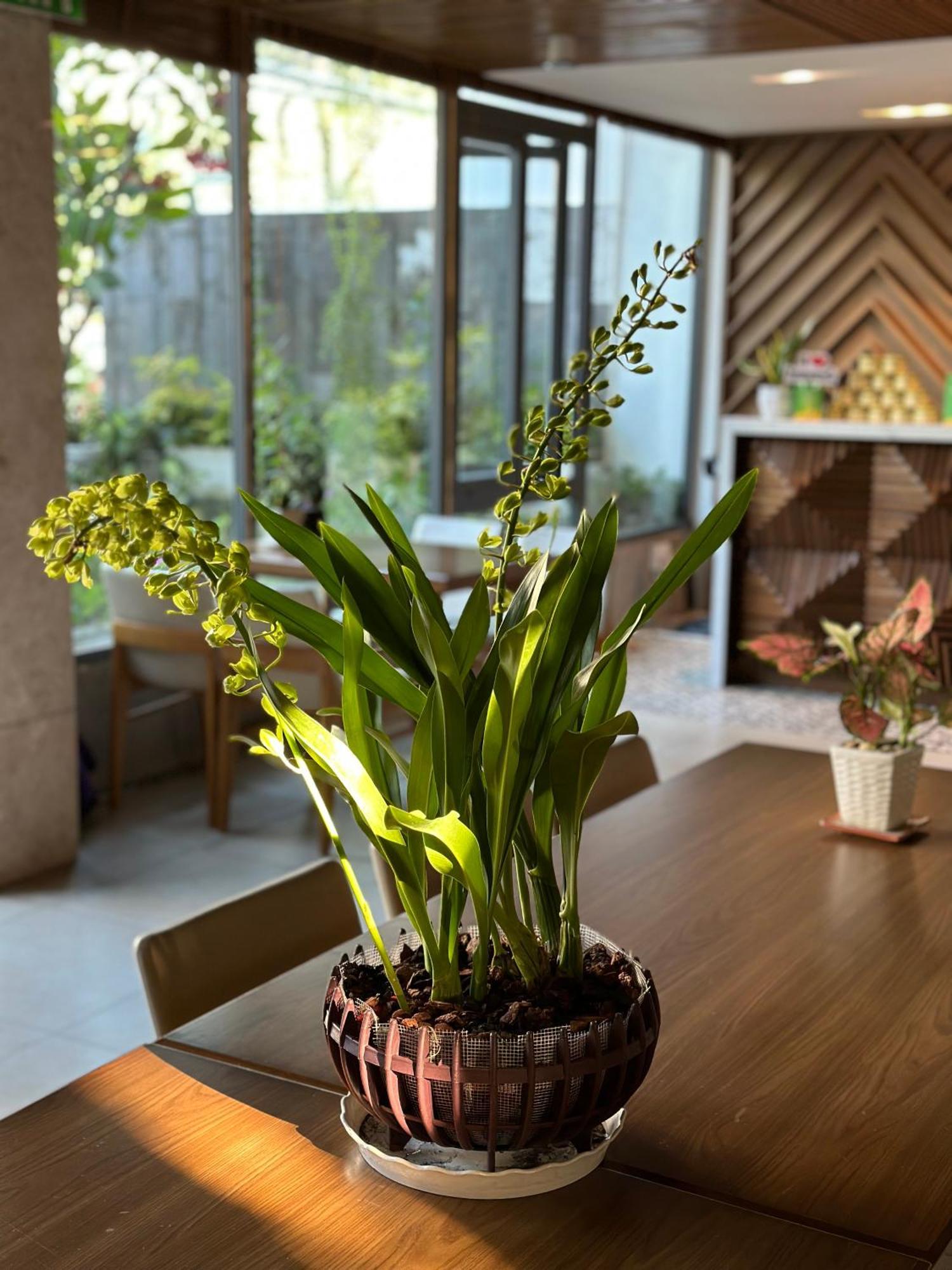 Ponte Boutique Đà Nẵng